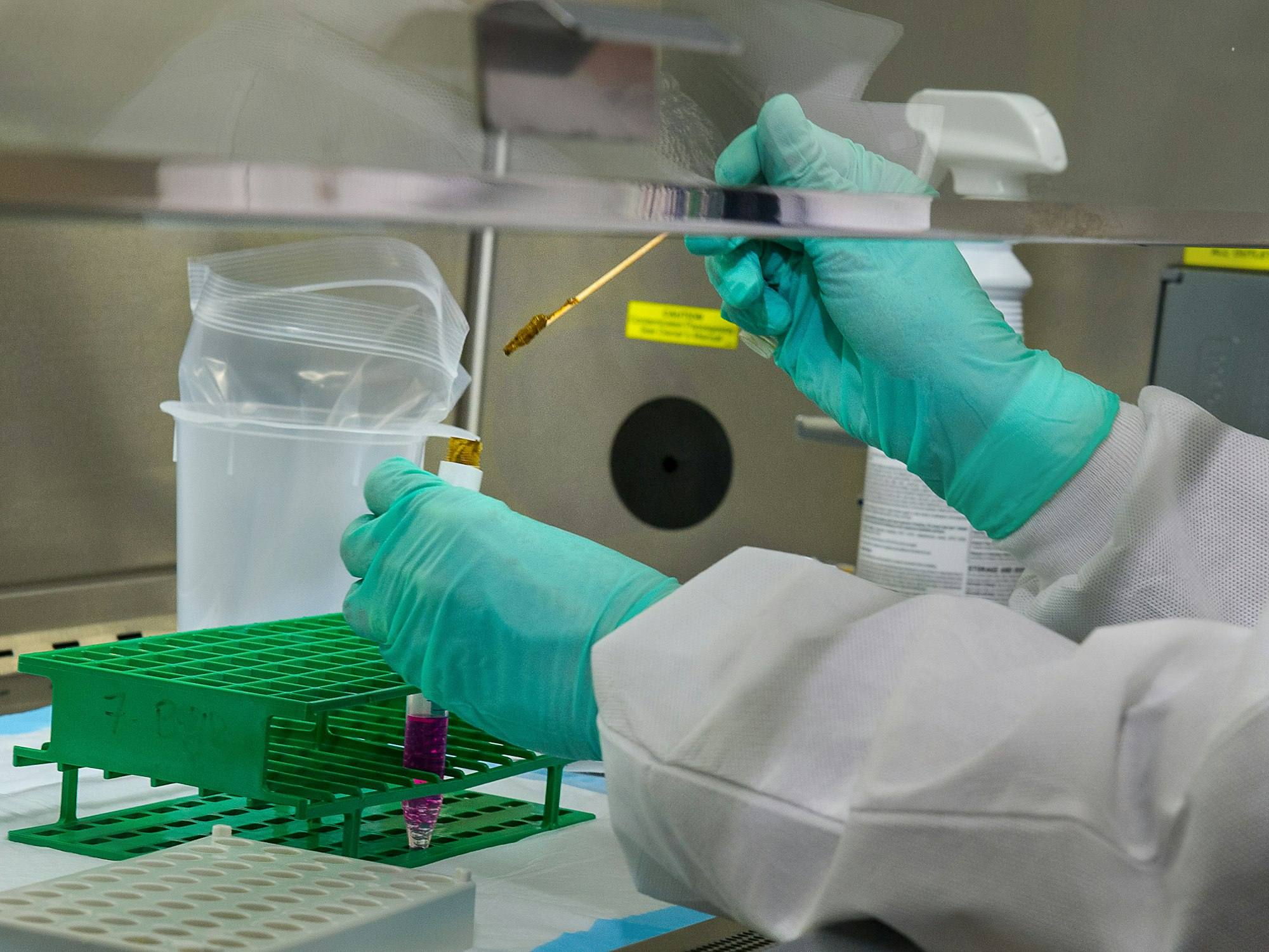 A lab technician pipetting samples into a tube rack